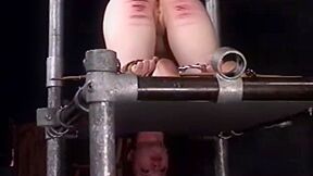 Insex 2001 - Az