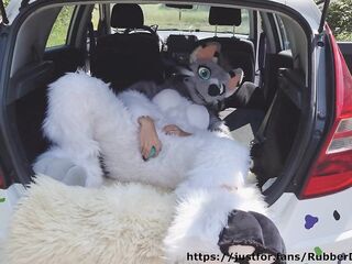 Fluffy, but well stuffed