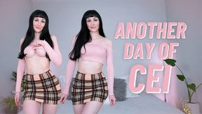 Gay Denial to Gay Reality (MP4 HD)