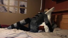 Murrsuit Sex Compilation