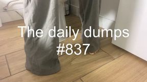 The daily dumps #837
