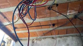 Recorriendo la terraza y tomando un poco de sol...