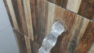 Video amatir buatan sendiri dari gadis Brasil yang bermain dildo anal dan masturbasi intens.