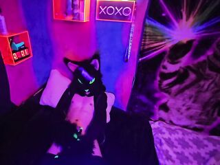 Alleycat paws off with fresh toy