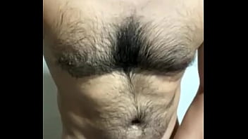 URSO GATO E GOSTOSO