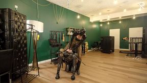 rubber pony play: the stallion got saddled up and milked by a milking machine