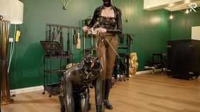 rubber pony play: the stallion got saddled up and milked by a milking machine