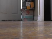 Giant Unaware Sneakers (slow-mo)
