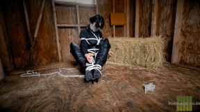 Nyxon A Lesson In Bargining Pt 2 HD 1080p MP4