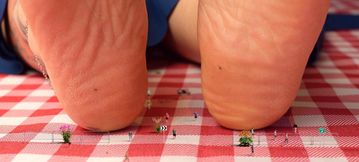 Goddess Fair Trade’s Giantess Crush: The Tiny Picnic (Part2) –1080p HD Stomp Domination