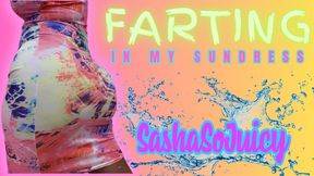 Farting In My Sundress