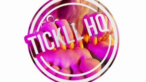 Fantasies Explored - Day 4