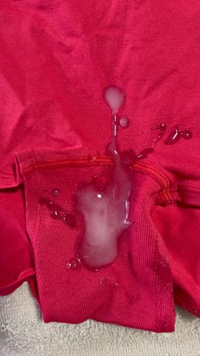 Cum on Wife's Panties 4