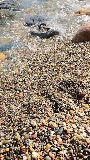 Oil Massage and Hot Public Fuckin Met Nudist Girl and Cum in Pussy Jessijek