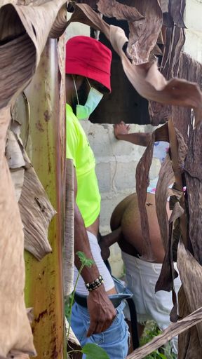 Hide and Seek Bush Fuck