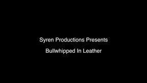 Bullwhipped In Leather (MP4 HD)