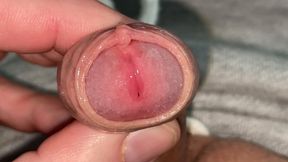 My Small, Tiny and Juicy Precum Foreskin Cock Compilation