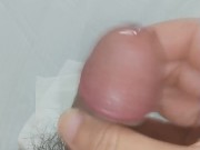 ちんこ教教祖は民に100万の精子を与えます お金が増える動画