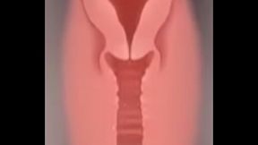 X-ray cum inside