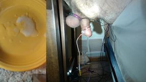 Estim milking