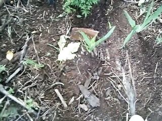 SixPack Urinate Wednesday 12th ANGLE 5