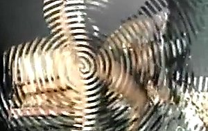 Outdoor interracial transsexual action