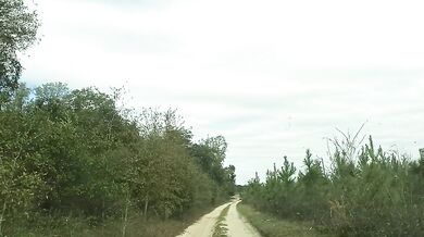 MEETING MY BOSS MAN'S WIFE IN THE FIELD!!!