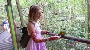 Virtual Vacation Singapore 3/6 With Moka Mora And Atk Girlfriends