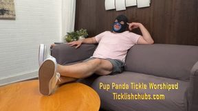 Pup Panda Tickle Worshiped