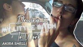 Driving My Little Bitch To Work (Re-Mastered) (HD MP4)