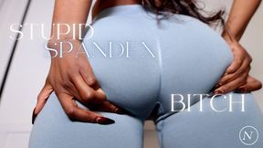 Stupid Spandex Bitch
