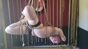 More beautiful y suffering in kayleth '_s ropes ?