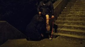 Mother in law sucking boy cock in public on dog leash