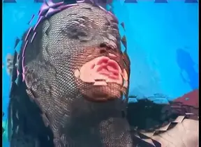 Two hot lesbian beauties engage in rough and bizarre sex