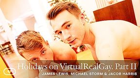 Holidays on VirtualRealGay: II - VirtualRealGay