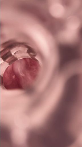 POV Fleshlight Fuck