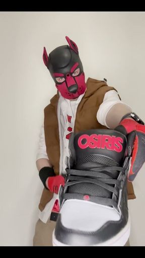 Sneaker Sniff