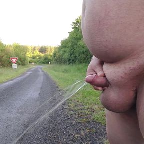 Nude and pee on the road