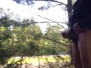 Big Black dick flash roadside