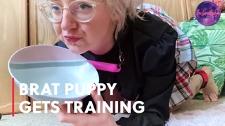 &nbsp;Puppy Gets Training Trailer