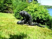 orca predator subdues his enemy outside