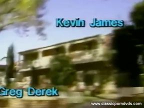 Classic Porn Dvds: the Pleasure Spot: Part 1