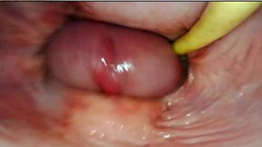 Hot internal view as I cum deep inside her wet pussy&#x270C;