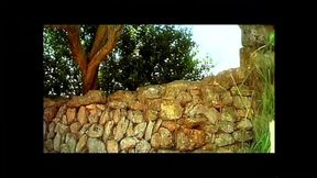 L'Orgasmo perduto (Full Movie)