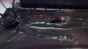 V11 VV11 [PP TRAINING]