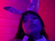 Bunny