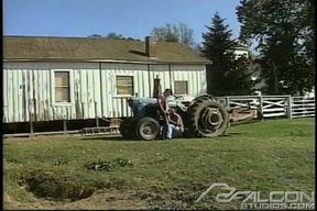 Roll in the Hay