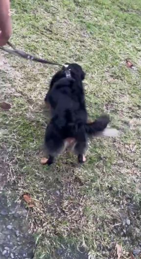 After merging him, he paid me in kind