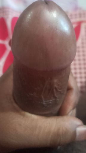 Desi dick