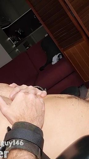 Gay Cum Compilation 5